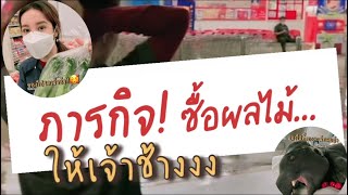 ภารกิจ ซื้อผลไม้ให้ช้าง!! | หมอโบว์ หมอตัวเล็กกับคนไข้ตัวใหญ่