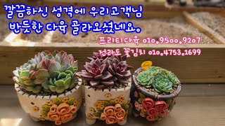 23.10.2.바이수 공방분에 비바쥬♡파인로즈 분갈이해요.