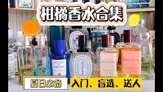 10瓶夏日必备的柑橘香，上班、约会、上学都可，接近万能！收藏～