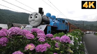 Steam Locomotive Thomas also came to Oigawa Railway./大井川鉄道 2019年6月22日，23日 きかんしゃトーマスがやってきた。