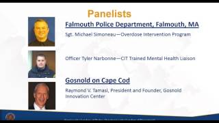 Law Enforcement’s Path to Improving Public Safety Partnering with Local Behavioral Health Agencies