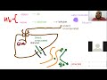 Gastrointestinal 1 (GIT1- TOXIC USMLE) Ibrahem Gamal شرح وحل معادلة امريكية-ابراهيم جمال