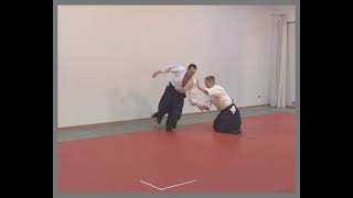 hanmi handachi waza katate dori nikyo ura