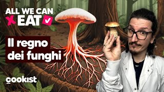 Funghi: Cosa Sono e Perché Sono Così Straordinari! 🍄 Nutrizione, Curiosità e Ecologia