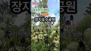 아침은 선물이다, 구리시 장자호수공원 아침트레킹