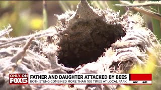 Las Vegas father and daughter stung over 100 times by bees