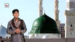 TU SHAH E KHUBAN - MUHAMMAD FARHAN ALI QADRI - OFFICIAL HD VIDEO - HI-TECH ISLAMIC - BEAUTIFUL NAAT