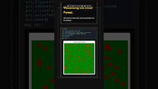 Forest fire simulation #python