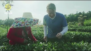 Tea Adventure in Mengding Mount Ya'an, Sichuan