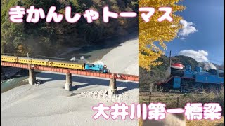 大井川鐵道【きかんしゃトーマス】大井川第一橋梁と紅葉　Oigawa Railway [Thomas the Tank Engine] Oigawa First Bridge