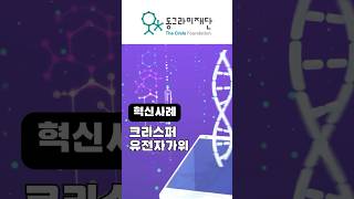 💡 동그리가 전하는 핫한 혁신 사례 🔬🧬