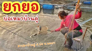 ยกยอ เหมาหลงน้ำยมบ้านดู่ ►Fishing lifestyle Ep.755