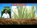 கோயம்பத்தூர் ஈரோடு திருப்பூர் நீலகிரி agri advisories notes