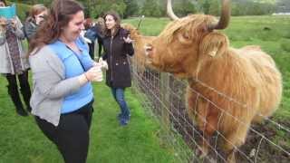 Feeding Fiona