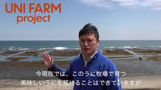 UNI FARM project 北三陸ファクトリーのうに養殖プロジェクト