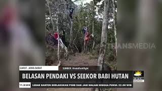 Belasan Pendaki VS Seekor Babi Hutan | REDAKSI SIANG (01/10/20)