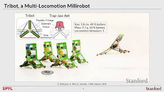 Stanford Seminar - Multimaterial Design for Multifunctional Miniature Robots