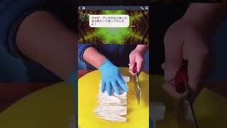 #ディスカバー東京キャンペーン #foryou #fypシ゚viral #tiktokindia #pov #foryoupage