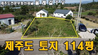 NO.417 제주시 한경면 2차선도로접 114평 토지 매매 기반시설완비 제주도전문부동산 - 올레길TV-