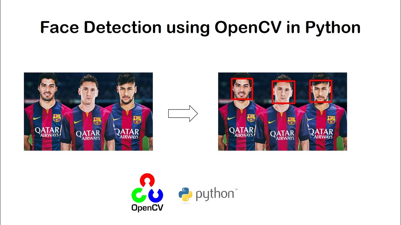 How To Do A Face Detection In Image And Video Using OpenCV In Python ...