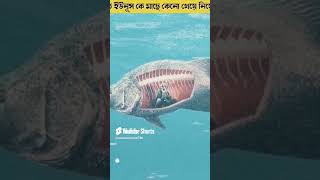 ইউনেস্কো কেন মাছে খেয়েছিল