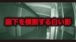 【心霊ライブカメラ】廊下を横断する白い影…