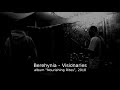 Berehynia - Visionaries (with vocals)