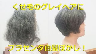 「くせ毛」の「グレイヘア」 に「白髪ぼかし」で艶を出す！カラーはあくまでも淡く、プラセンタやフムスエキス（フルボ酸）の配合で保湿と艶を出します。