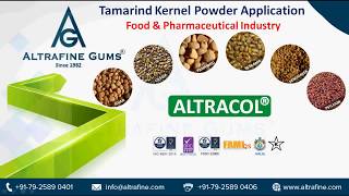 Tamarind Kernel Powder Applications in Food \u0026 Pharmaceutical Industry