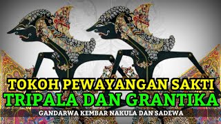 Tokoh Pewayangan Sakti - Gandarwa Tripala dan Gandarwa Grantika ( Nakula dan Sadewa )