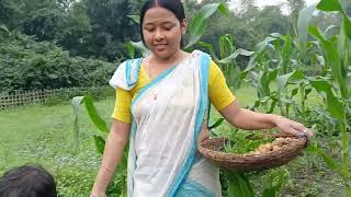 নিজৰ মানুহবোৰে  সহায় কৰেনে//Assamese video