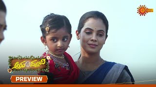 Anu Pallavi  - Preview | 26 Feb 2025 | Kannada Serial | Udaya TV