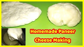 Homemade paneer Making and Mozzarella cheese