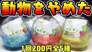 【ガチャガチャ】動物をやめた動物の末路『サボテンZOO』1回200円 全5種 開封レビュー Capsule Toys【おもちゃ】チンアナゴも登場！