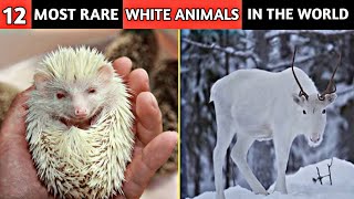 12 Unique Animals You Won't Believe Exist