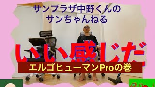 サンちゃんねる【レビュー】エルゴヒューマンプロを買ってみた