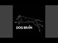 Hello Stranger
