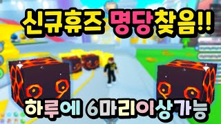 펫시뮬x 신규 휴즈 6마리나 뽑았다!!! 잘뽑는법 알려드림!!! #펫시뮬레이터 #로블록스