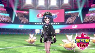 【宝可梦剑盾 Pokemon Sword\u0026Shield】当你用六只闪光鲤鱼王打到冠军的画面 When you achieve  championship with six shiny magikarp