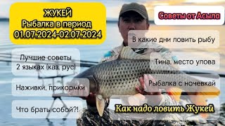 Рыбалка с ночевкай озеро Жукей (Щучинск). Рассказываю истенную картину!