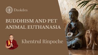 Buddhism and Pet Animal Euthanasia | Khentrul Rinpoche