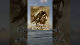 Hazrat Imam Hussain as Quotes ✨🌹🥹||shorts,short,youtube shorts,yt shorts,#shorts,funny