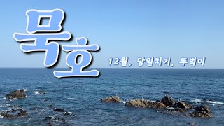 걸어서 묵호 속으로 😎 뚜벅이의 12월 묵호 여행 | 묵호 당일치기 | 묵호 브이로그 | 도째비골 | 초당 쫄면 순두부 | 거동탕수육 | 묵호 카페