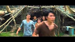 TRUE WANNABE❌MAZE RUNNER.