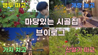 EP 52. | 마당있는 시골집 브이로그 country house vlog in korea | 앵두따기 | 가지치기 | 산딸기따기 | 작은정원 | cottage garden