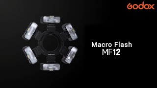 Introducing Macro Flash Godox #MF12