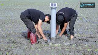 RYNAN® Climate Smart Rice Farming in Mekong Delta