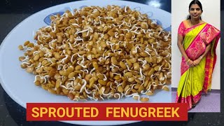 How to sprout Fenugreek / வெந்தயம் முளை கட்டுவது எப்படி?