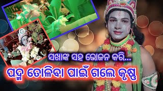 ପଦ୍ମ ତୋଳିବା ପାଇଁ ଗଲେ କୃଷ୍ଣ ଭଗବାନ // kaliya Dalan // Kali Dahan // Krushna Lila // Nadiali kalidahan