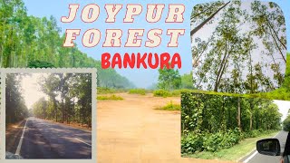 Way to Bishnupur by bus through JOYPUR forest